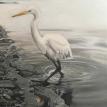 Wader in the Harlem Meer